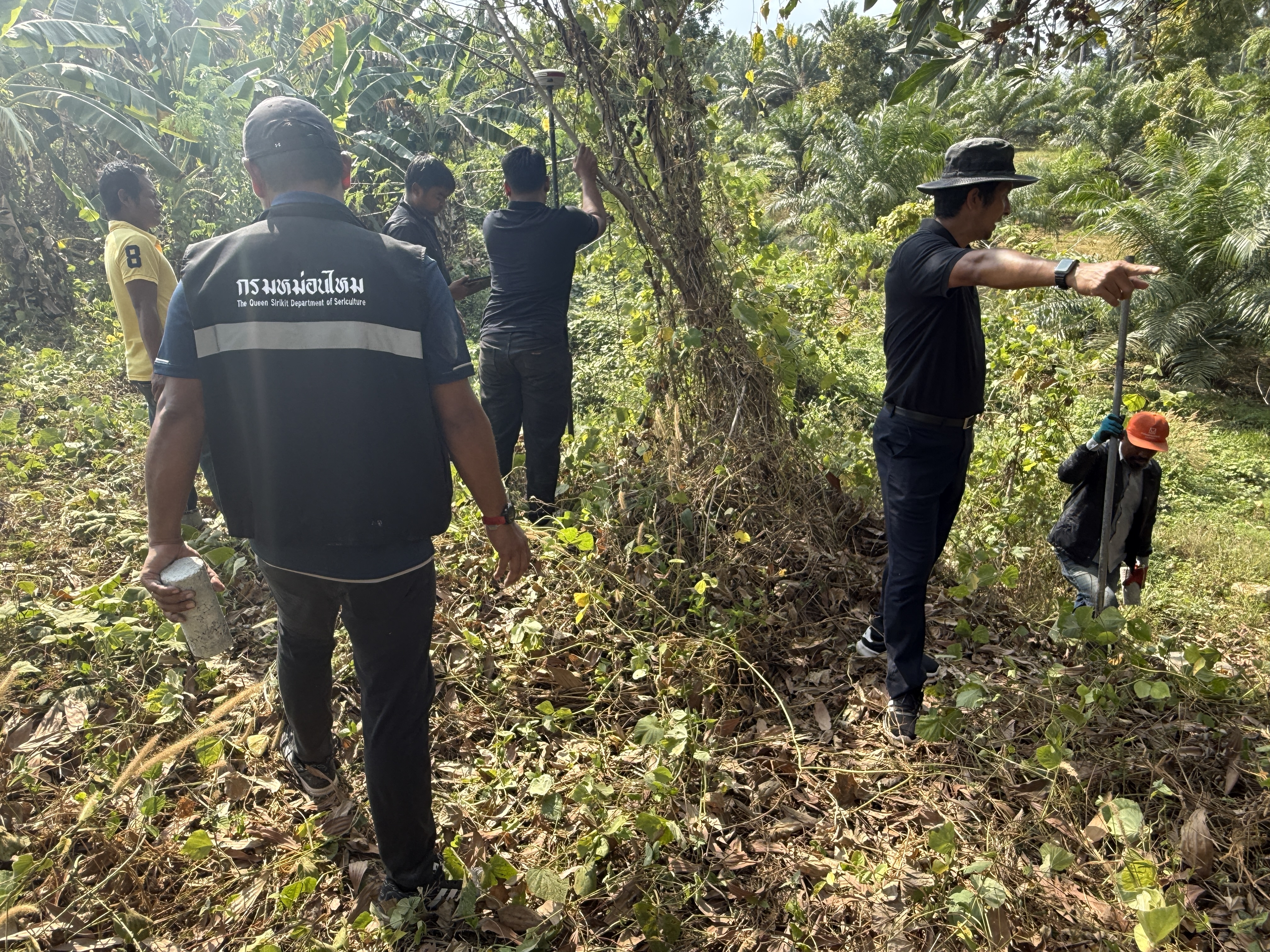 title - วันจันทร์ที่ 19 มกราคม 2569 นายนิกร ไพริน ปฏิรูปที่ดินจังหวัดชุมพร มอบหมายให้ นายพิษณุ บุญแนบ ผู้อำนวยการกลุ่มงานช่างและแผนที่ พร้อมด้วย เจ้าหน้าที่ ส.ป.ก.ชุมพร ลงพื้นดำเนินการรังวัดที่ดิน 